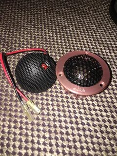 Morel tempo 6