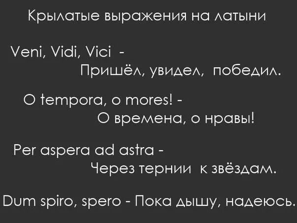 Латинское слово жизнь. Цитаты на латыни. Крылатые фоащу на латыни. Латинские крылатые выражения. Красивые афоризмы на латинском языке.