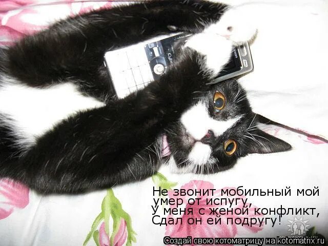 дай мобилу позвонить о мой бог