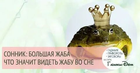 Жабы во сне к чему снятся женщине