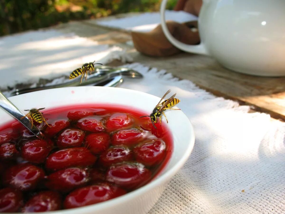 и варенье быстро съел