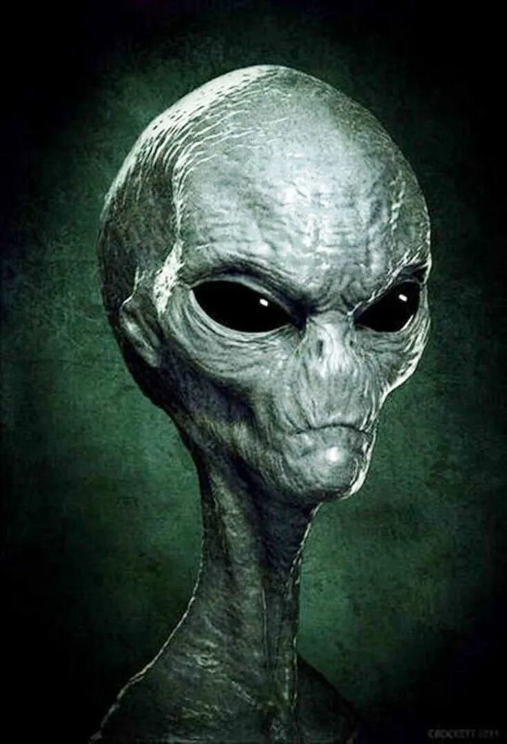 Real life alien. Инопланетные пришельцы.