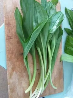 Черемша вкус