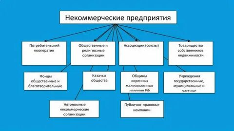 Потребительские кооперативы союзы и товарищества