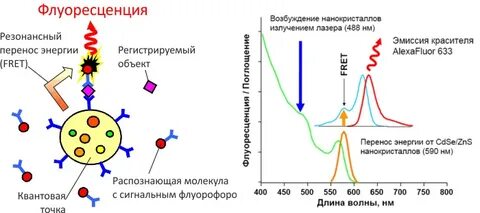 Энергетическая перенос