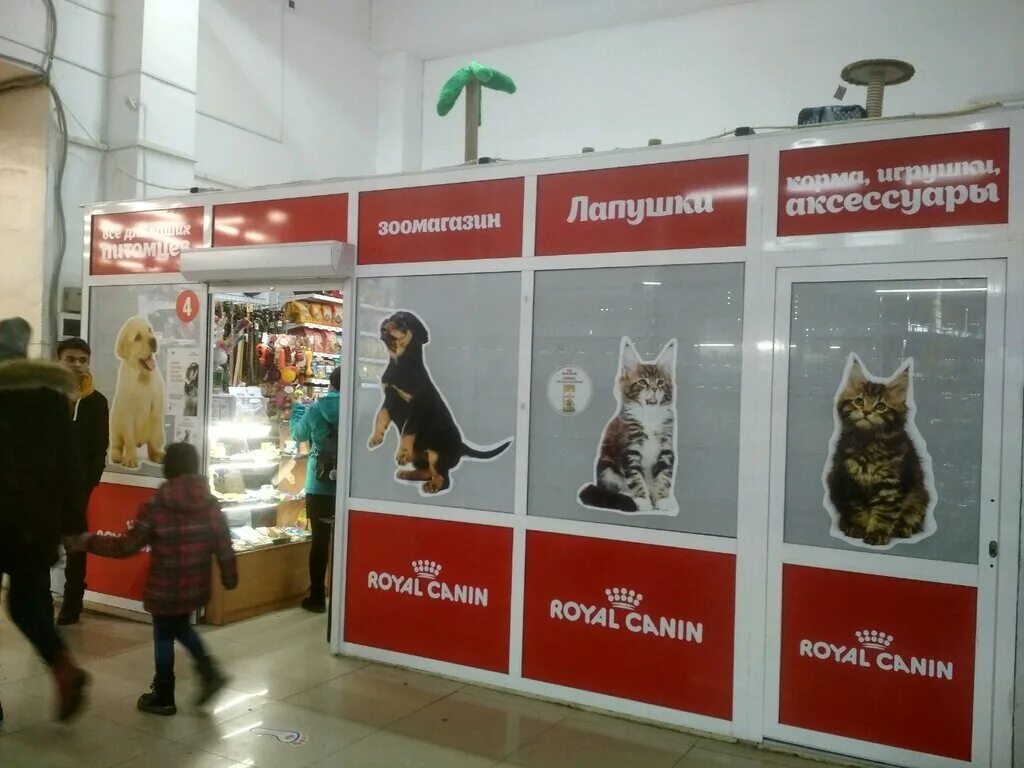 зоомагазин лапушки. лапушки шахты. зоомагазин лапушка богданович. зоомагазин лапушки котлас. магазины нерюнгри.