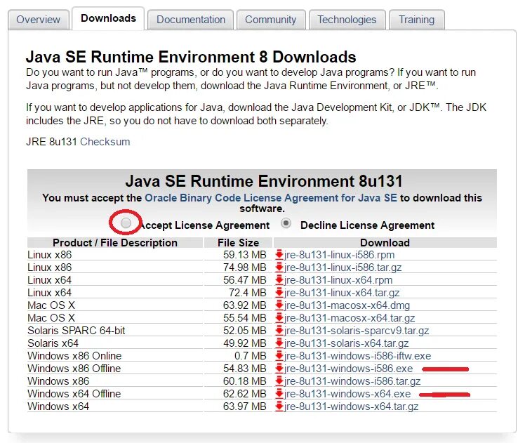 Джава 64 последняя версия. JRE-8u202-win64. Java runtime environment. JRE/JDK 8. Java se download.