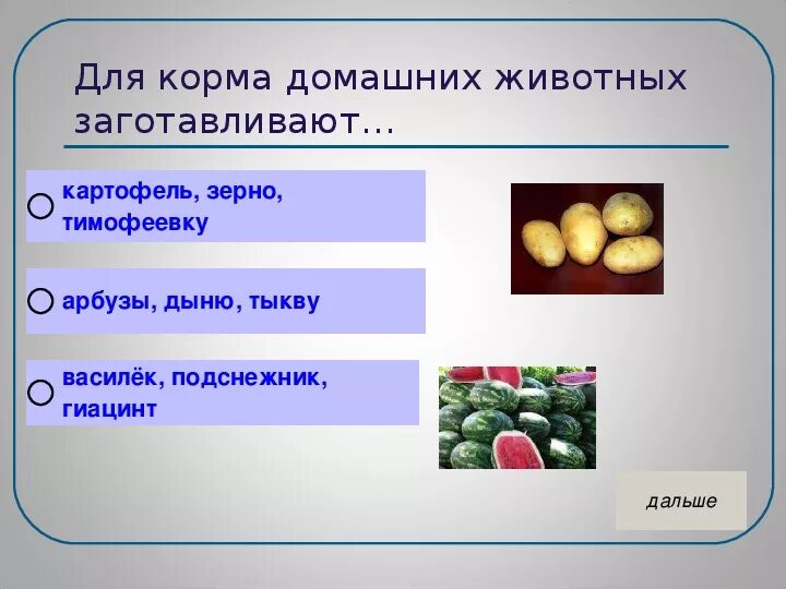 Тест на тему животноводство 3. Виды кормов для домашних животных. Для корма домашних животных заготавливают. Животноводство окружающий 3 класс тест. Животноводство 3 класс окружающий мир тест.