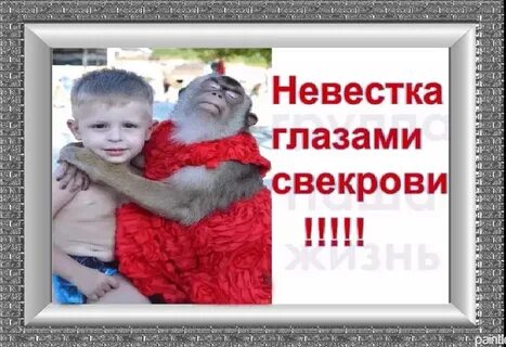 Сын невестка картинка