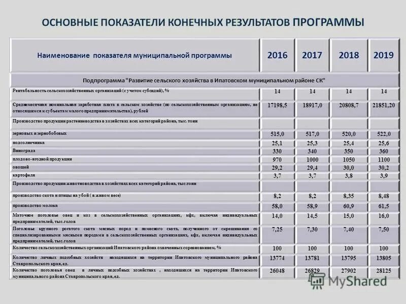 основные показатели муниципальной программы