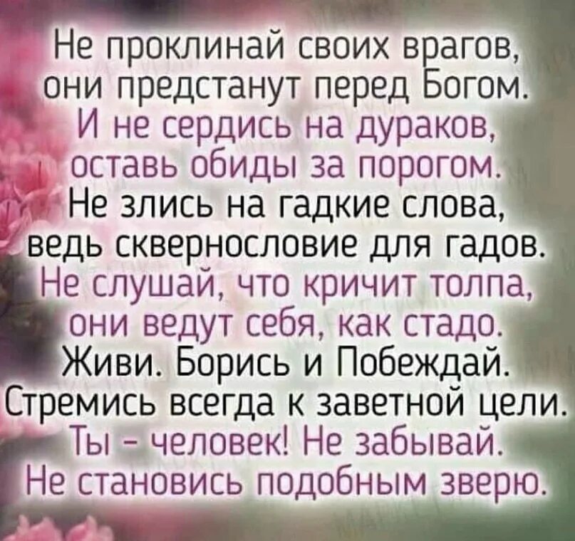 Оставь обиды в прошлом. Не проклинай своих врагов они предстанут. Стих не проклинай своих врагов. Картинки не проклинай своих врагов они предстанут перед Богом. Они предстанут перед Богом.