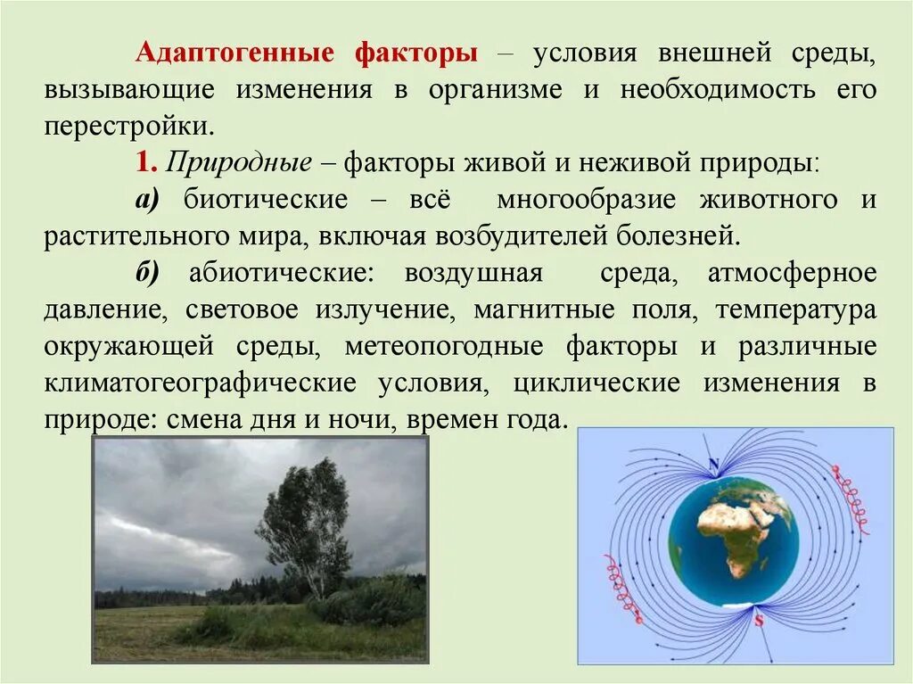 Биологические и социальные факторы окружающей среды. Основные природные факторы. Виды природных факторов. Природные факторы влияющие на организм человека. Природные факторы окружающей среды.