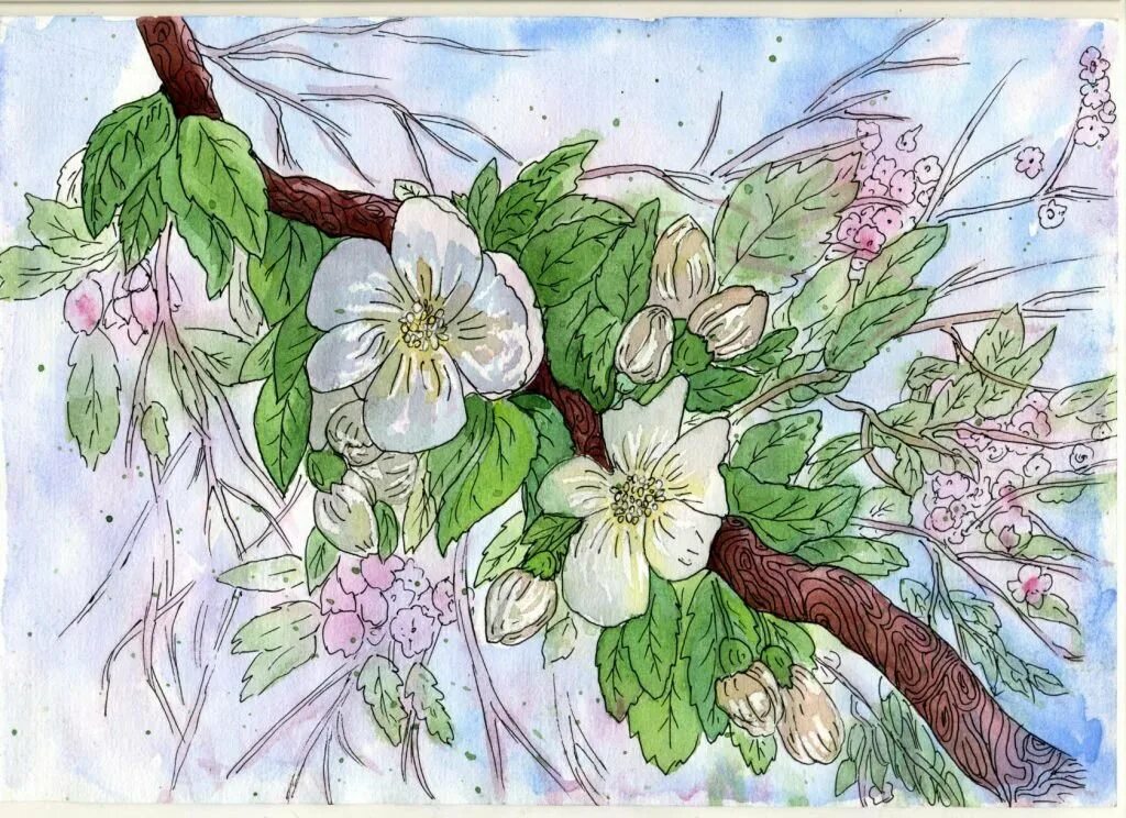 Как нарисовать цветущую яблоню