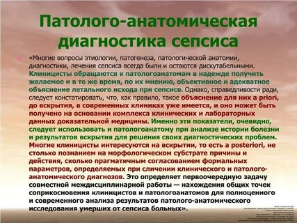 Анатомия диагностика