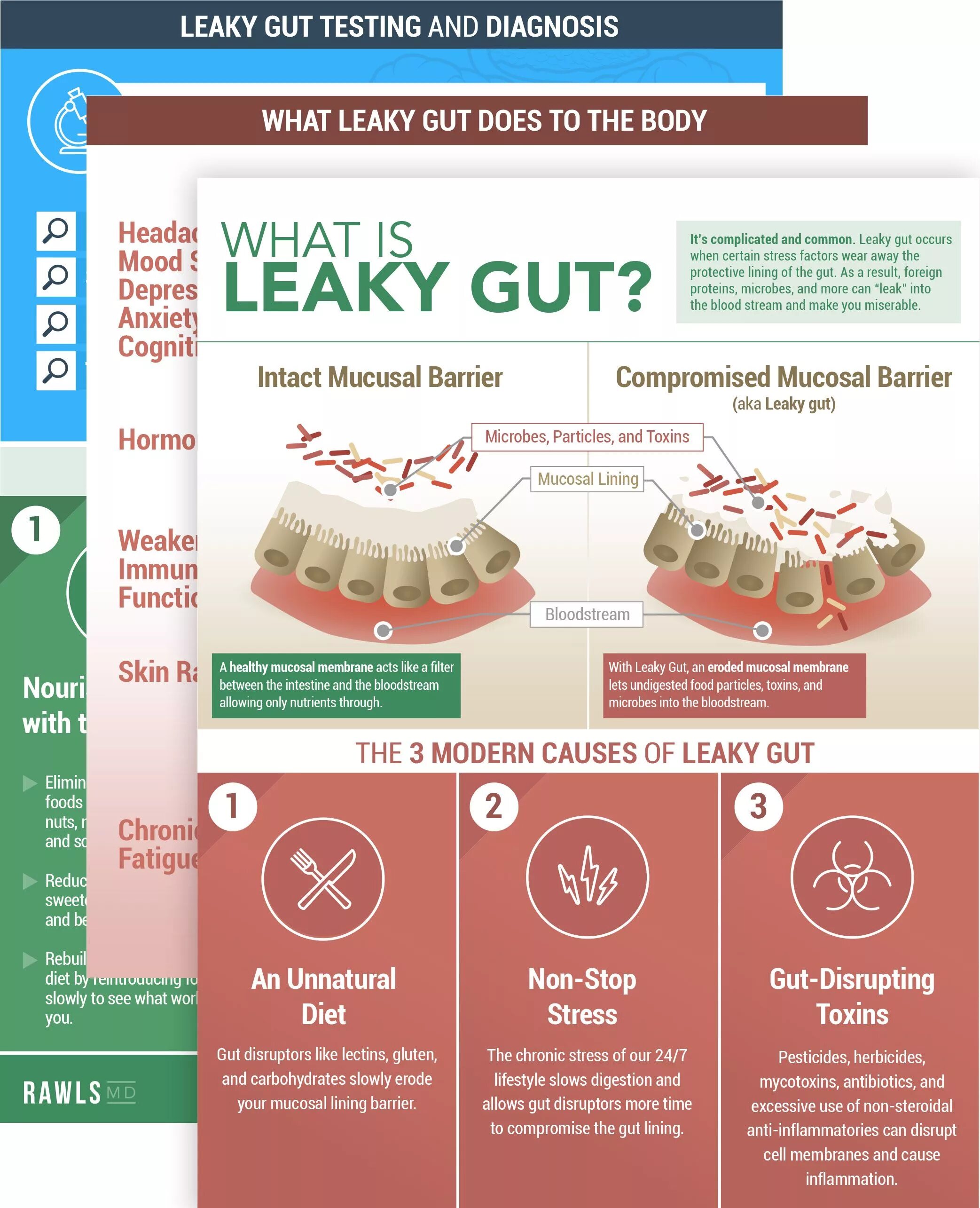Gut testing. Healthy gut состав. healthy gut инструкция по применению на русском.