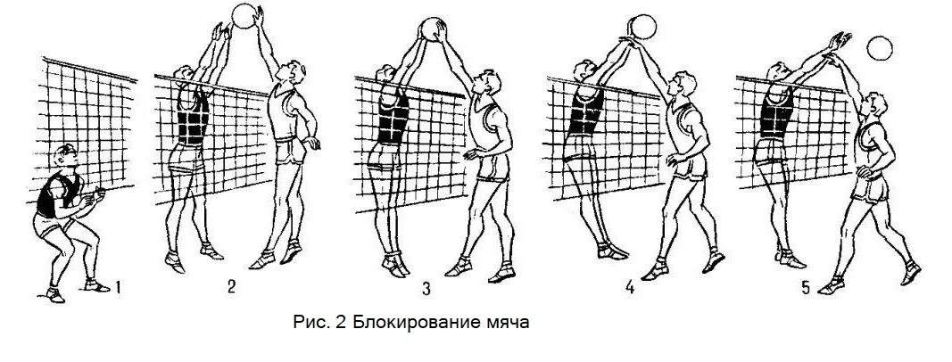 Го в нападении. Волейбол блокирование нападающий удар техника. KJR D волебйоле. Техника блокирования мяча в волейболе. Техника выполнения блокирования мяча в волейболе.