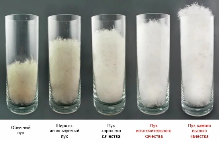 Равен пух. Лебяжий пух наполнитель из чего. Наполнитель гусиный пух. Винни и пчелы. Равен пух.