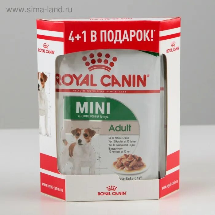 Роял Канин мини Эдалт влажный корм. Влажный корм для собак Royal Canin Mini Adult, для мелких пород, мясо, 85г. Royal Canin для щенков мелких пород влажный. Royal Canin Mini Puppy, для мелких пород, мясо, 85. Влажный корм для собак royal canin