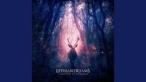 Shadow of dream