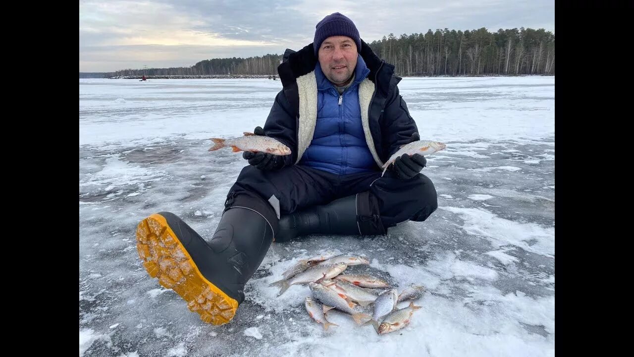 Рыбалка на Белоярке зимой. Рыбалка на Белоярке. Рыбалка в Белоярке Мошковского. Рыбалка на Белоярке 2024.