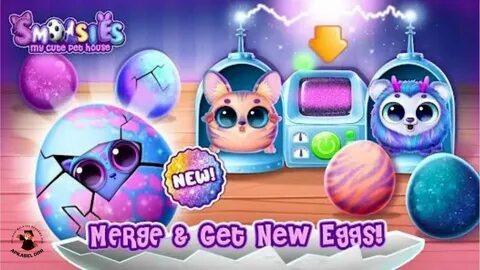 My cute pet