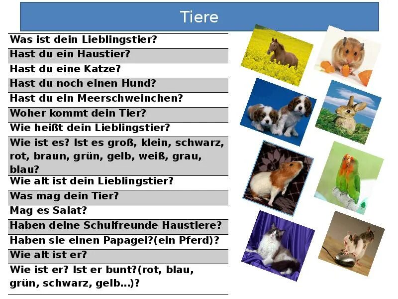 Презентация по теме die Tiere. Тема животные на немецком языке. Немецкий язык домашние животные задания. Задания по немецкому животные.