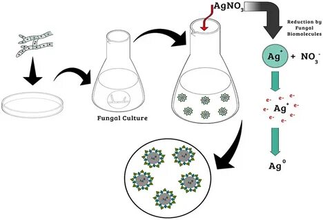 Silver nanoparticles