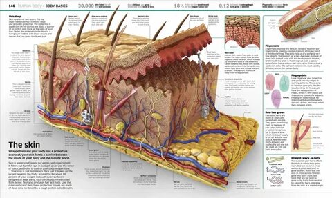 Under section
