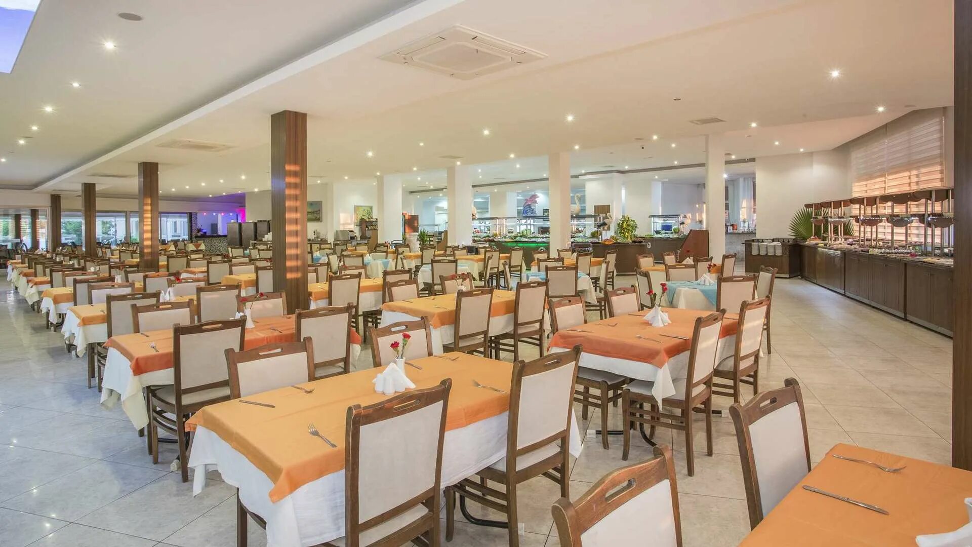 аланья турция отель сапфир  резорт 5 звезд. Alara star hotel 5 турция. отель дельфин де люкс окурджалар. отель azura deluxe resort spa hotel 5 турция аланья. отель grand kaptan hotel 5.