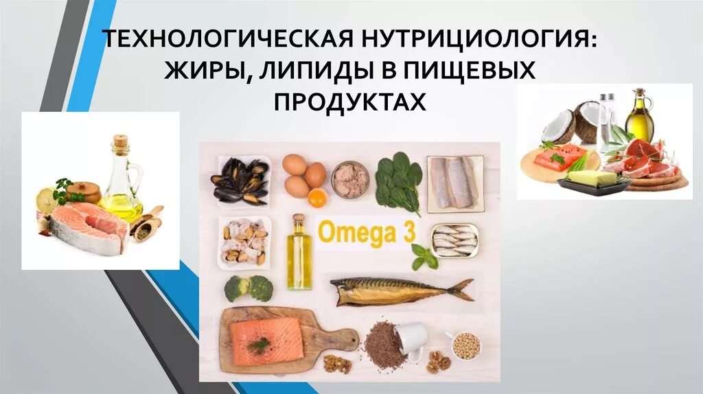 Липиды в питании. Жиры биология. Содержание липидов в продуктах. Липиды в питании. Липиды пищевых продуктов.