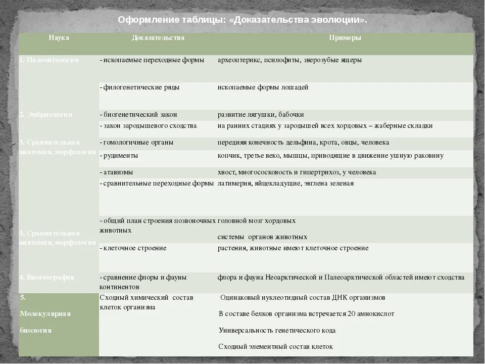 Доказательства эволюции список. Таблица доказательства эволюции органического мира 9 класс. доказательства эволюции таблица 9 класс по биологии. палеонтологические доказательства эволюции таблица. доказательства эволюции таблица 11 класс с характеристикой.