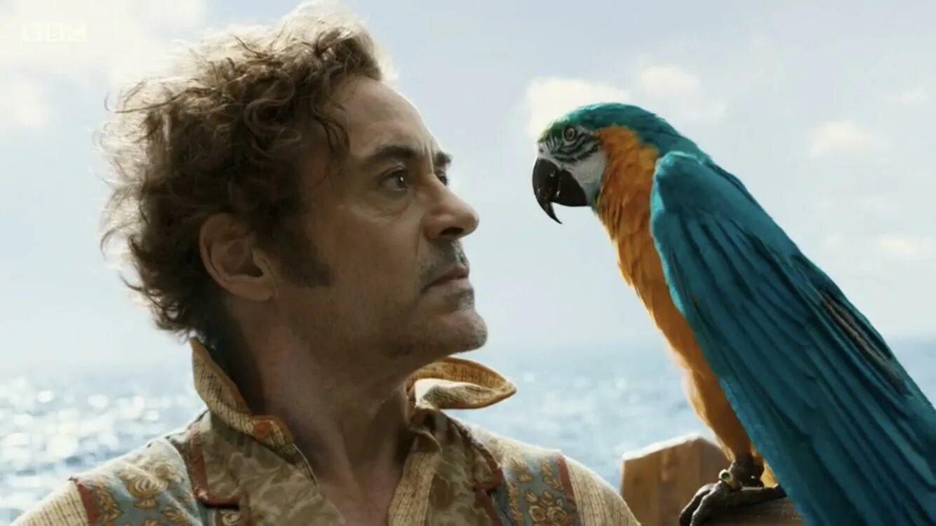 Приключения доктора 1080. Фильм доктор дулиттл 2020. Приключения доктора 1080. Доктор дулиттл 2020 майкл шин. Удивительное путешествие доктора дулиттла фильм.