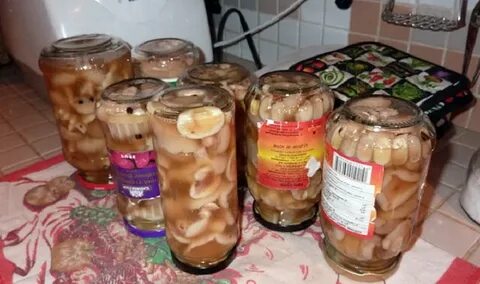 Маринованные подтопольники на зиму