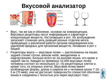 Вкусовая характеристика