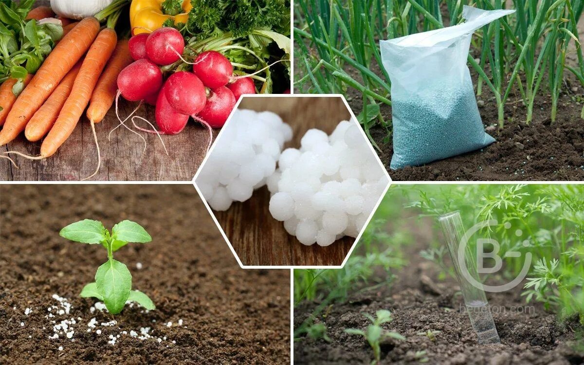 Химизация сельского хозяйства. Посев пшеницы. Удобрение сельскохозяйственных растений. Удобрение сельскохозяйственных растений. Удобрение почвы.