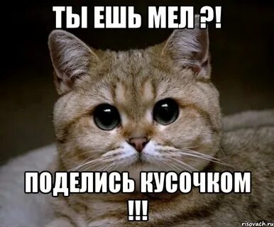 Ели мели