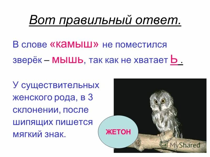 1 скл 2 скл 3 скл таблица. Склонение существительных таблица 6 класс в русском языке. Какое склонение у слова камыш. Какое склонение у слова камыш. Как определить падеж глагола.