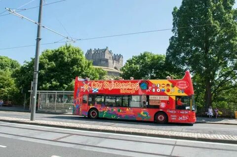 Hop on hop off tour