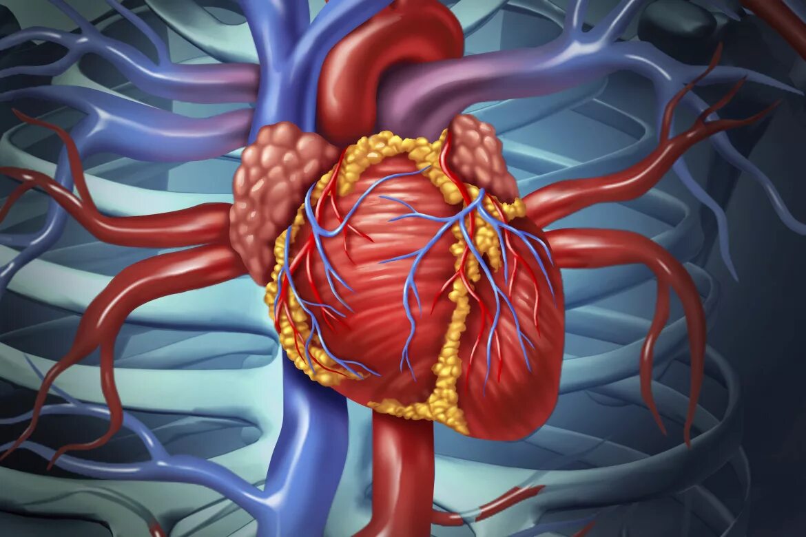 Заболевания сердечной системы. Сердечно-сосудистые заболевания. Сердечно сосудистыезаблевания. Болезни сердечно-сосудистой системы.