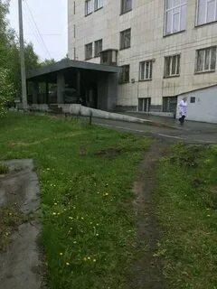 Телефон 81 поликлиники