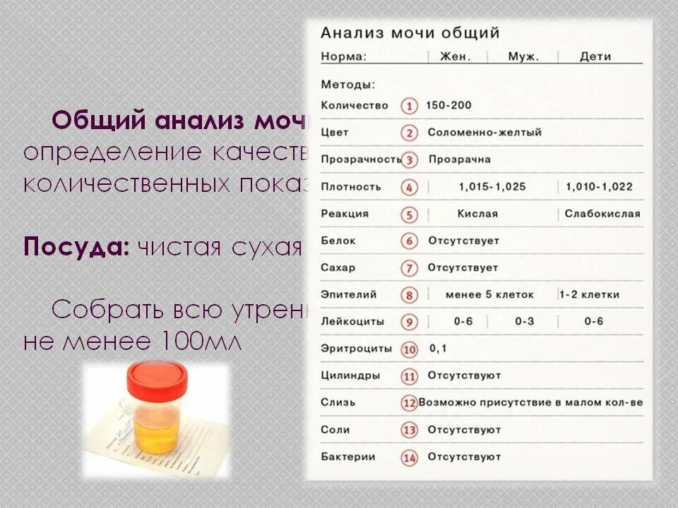 Моча за сколько часов собирать. Анализ мочи. Общий анализ мочи. Исследование мочи общий анализ. Сколько нужно мочи для общего анализа.