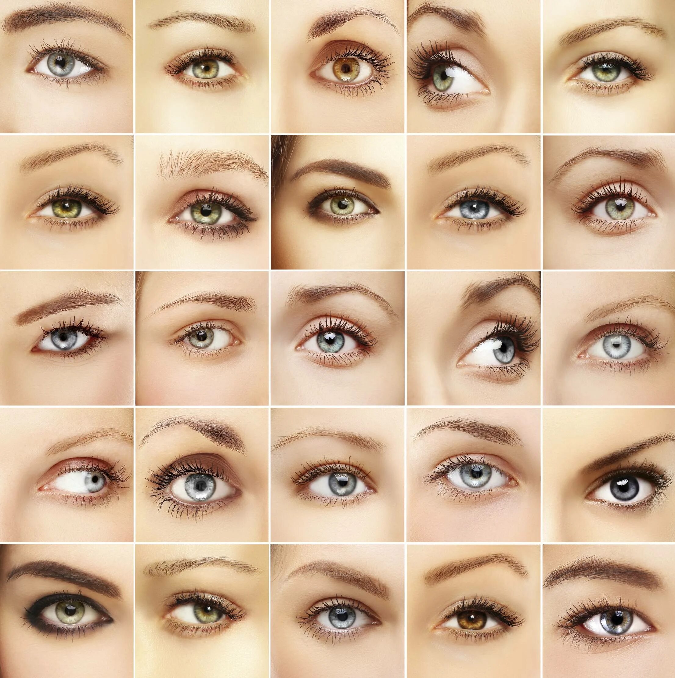 Всевозможные оттенки глаз. Формы глаз. Формы глаз человека. Типы глаз. Поддерживает форму глаза