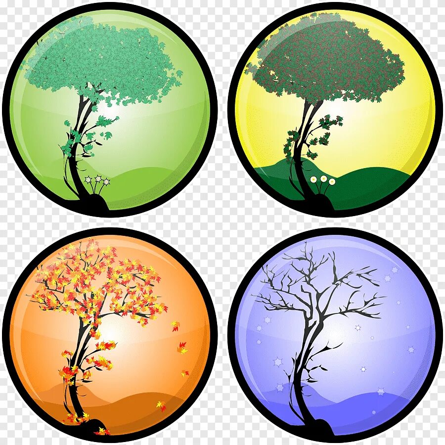 Seasons trees