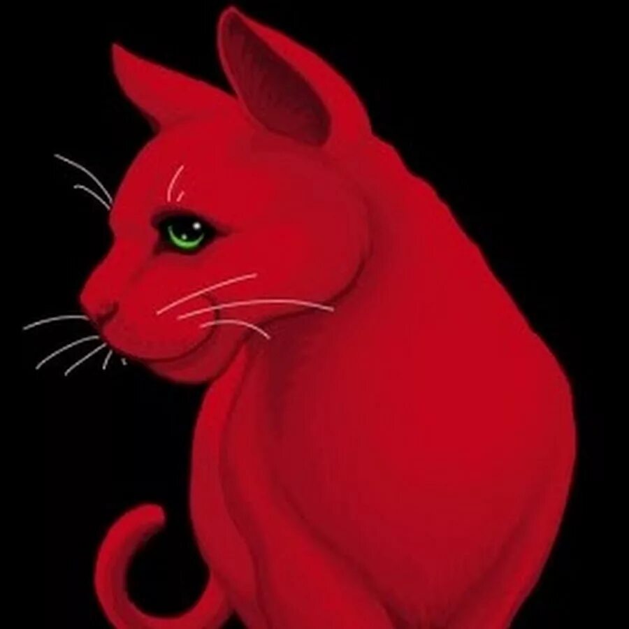 Ред Кэт в реальной жизни. Red Cat в реальной жизни. Ред Кэт лицо. Лицо ред кета.