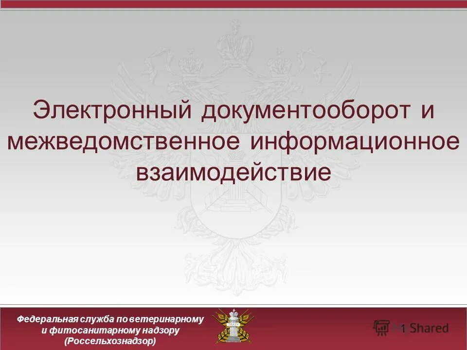 Приказ о переходе на электронный документооборот (эдо). Процедуры предоставления государственных услуг. Сэд на базе 1с. Портал государственных услуг российской ф. Госуслуги порядок оказания услуги.