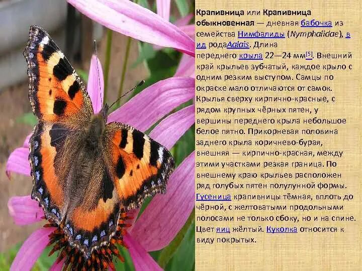 ТЕХНОЛОГИЧЕСКАЯ КАРТА УРОКА ОКРУЖАЮЩЕГО МИРА Тема урока: "Весна в мире насекомых