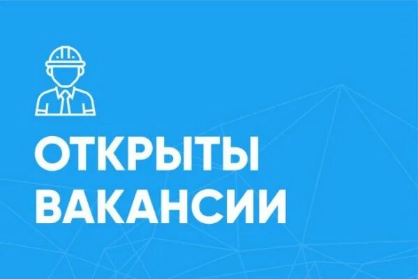 https://avatars.mds.yandex.net/i?id=037d993803f9fb0c6eb0d5624c658516_l-8567615-images-thumbs&amp;n=13