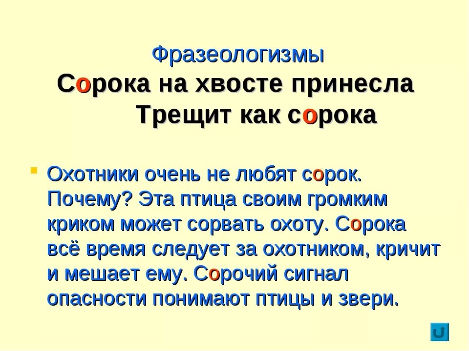 Трещит как сорока. Сорока на хвосте принесла фразеологизм. фразеологизмы с названиями птиц. фразеологизм 40 на хвосте принесла.