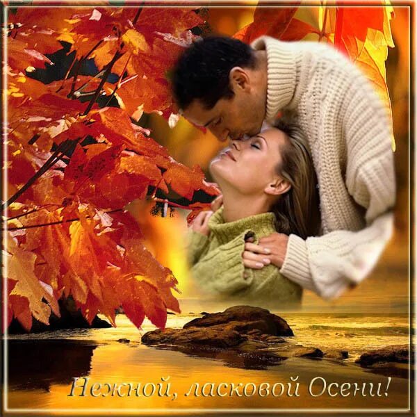 Август предвестник осени. Настроение осень. Осенние цветы в саду. Доброго теплого осеннего дня. Дни еще теплы и по осеннему ласковые.