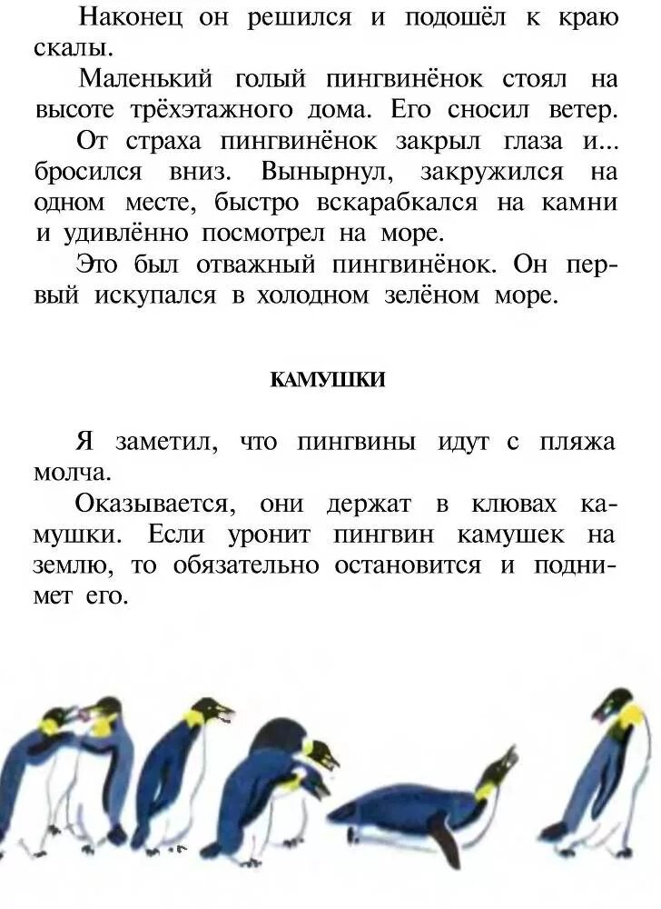 Пересказ рассказов про пингвинов старшая. Рассказ про пингвинов Снегирев. Снегирёв рассказы о пингвинах.